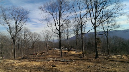 View Down the Driveway